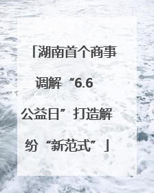 湖南首个商事调解“6.6 公益日”打造解纷“新范式”