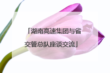 湖南高速集团与省交管总队座谈交流
