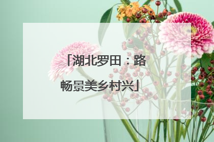 湖北罗田：路畅景美乡村兴