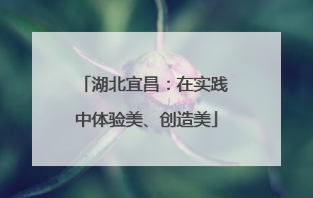 湖北宜昌：在实践中体验美、创造美