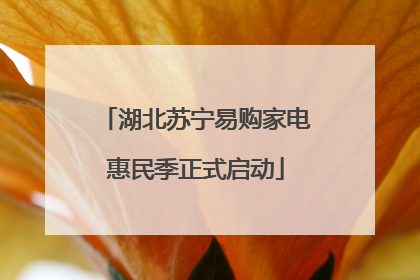湖北苏宁易购家电惠民季正式启动