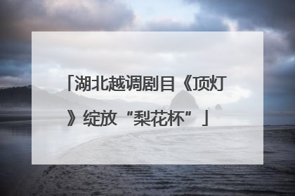 湖北越调剧目《顶灯》绽放“梨花杯”