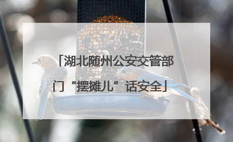 湖北随州公安交管部门“摆摊儿”话安全