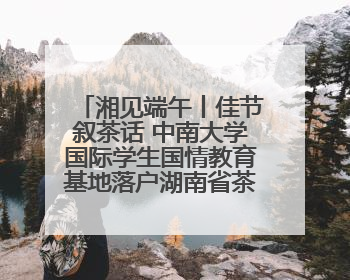 湘见端午丨佳节叙茶话 中南大学国际学生国情教育基地落户湖南省茶叶博物馆