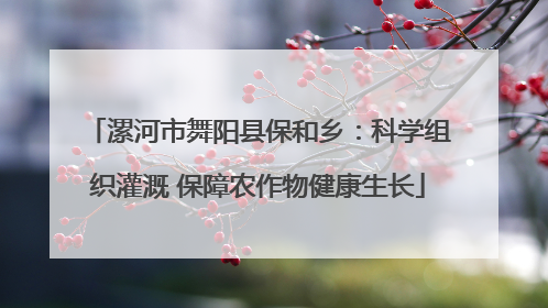 漯河市舞阳县保和乡：科学组织灌溉 保障农作物健康生长