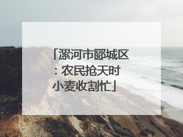 漯河市郾城区：农民抢天时 小麦收割忙