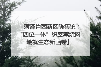菏泽鲁西新区陈集镇：“四位一体”织密禁烧网 绘就生态新画卷