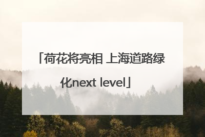 荷花将亮相 上海道路绿化next level