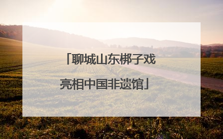 聊城山东梆子戏亮相中国非遗馆