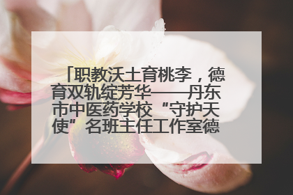 职教沃土育桃李，德育双轨绽芳华——丹东市中医药学校“守护天使”名班主任工作室德育实践之路
