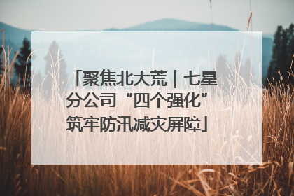 聚焦北大荒｜七星分公司“四个强化”筑牢防汛减灾屏障