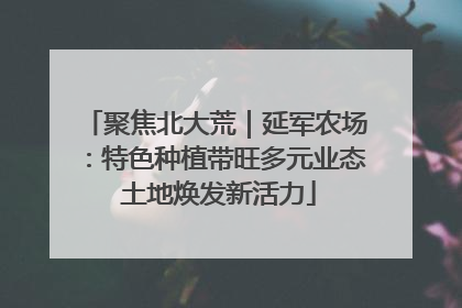 聚焦北大荒｜延军农场：特色种植带旺多元业态 土地焕发新活力