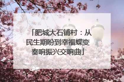 肥城大石铺村：从民生期盼到幸福蝶变奏响振兴交响曲