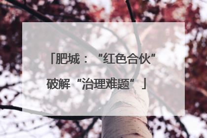 肥城：“红色合伙”破解“治理难题”