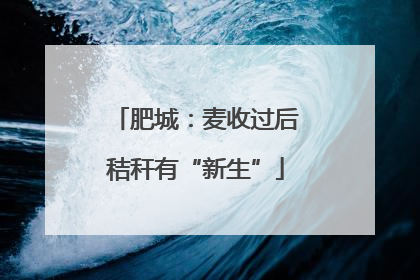 肥城：麦收过后秸秆有“新生”