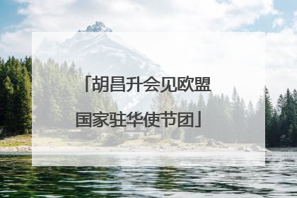 胡昌升会见欧盟国家驻华使节团