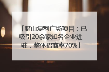 腊山复利广场项目：已吸引20余家知名企业进驻，整体招商率70%