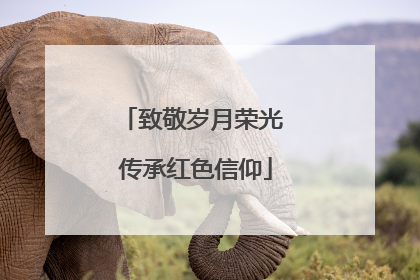 致敬岁月荣光 传承红色信仰