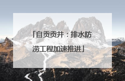 自贡贡井：排水防涝工程加速推进