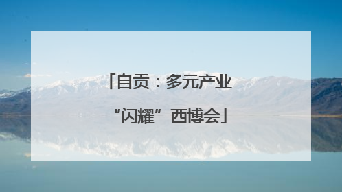 自贡：多元产业“闪耀”西博会