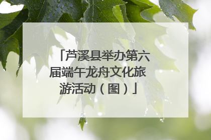 芦溪县举办第六届端午龙舟文化旅游活动（图）