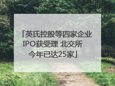 英氏控股等四家企业IPO获受理 北交所今年已达25家