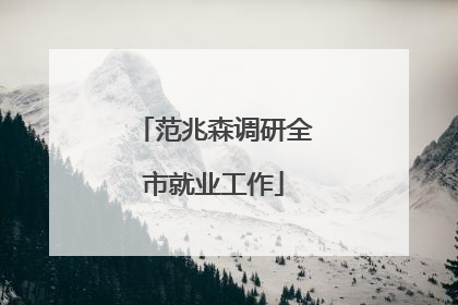 范兆森调研全市就业工作