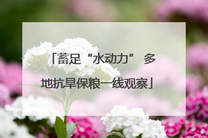 蓄足“水动力” 多地抗旱保粮一线观察