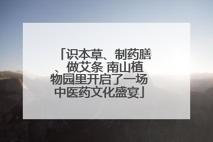 识本草、制药膳、做艾条 南山植物园里开启了一场中医药文化盛宴