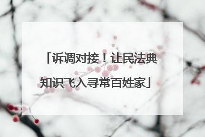 诉调对接！让民法典知识飞入寻常百姓家