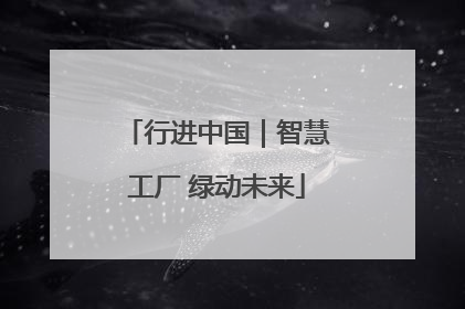 行进中国｜智慧工厂 绿动未来
