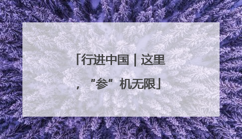 行进中国｜这里，“参”机无限