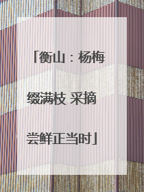 衡山：杨梅缀满枝 采摘尝鲜正当时