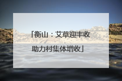 衡山：艾草迎丰收 助力村集体增收