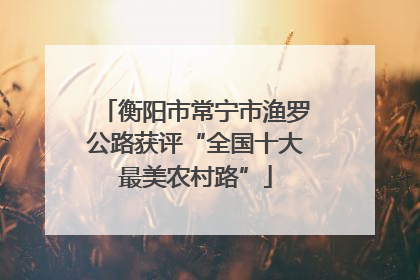 衡阳市常宁市渔罗公路获评“全国十大最美农村路”