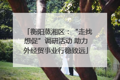 衡阳蒸湘区：“走找想促”调研活动 助力外经贸事业行稳致远