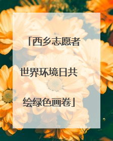 西乡志愿者世界环境日共绘绿色画卷