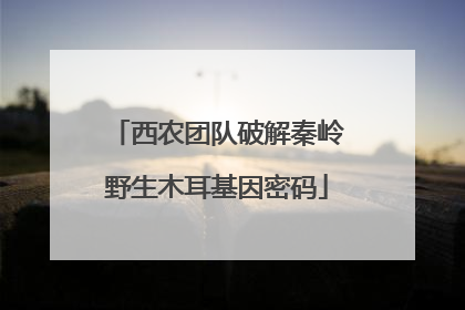 西农团队破解秦岭野生木耳基因密码