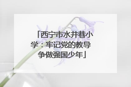 西宁市水井巷小学：牢记党的教导 争做强国少年