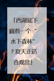 西湖底下藏着一个“水下森林”？夏天正适合观赏