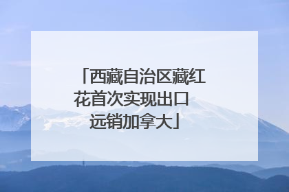 西藏自治区藏红花首次实现出口 远销加拿大