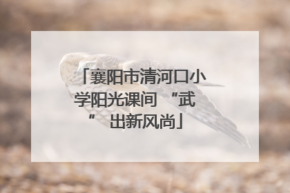 襄阳市清河口小学阳光课间 “武” 出新风尚