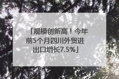 规模创新高！今年前5个月四川外贸进出口增长7.5%
