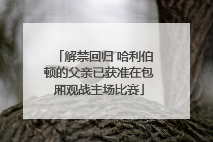 解禁回归 哈利伯顿的父亲已获准在包厢观战主场比赛