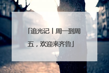 追光记丨周一到周五，欢迎来齐鲁