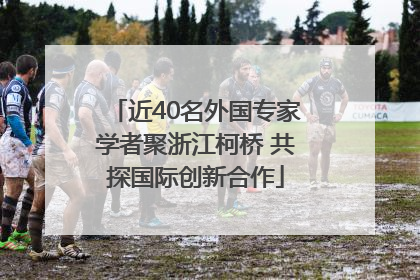 近40名外国专家学者聚浙江柯桥 共探国际创新合作