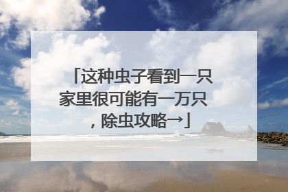 这种虫子看到一只家里很可能有一万只，除虫攻略→