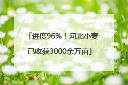 进度96%！河北小麦已收获3000余万亩