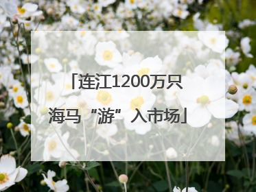 连江1200万只海马“游”入市场