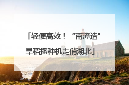 轻便高效！“南漳造”旱稻播种机走俏湖北